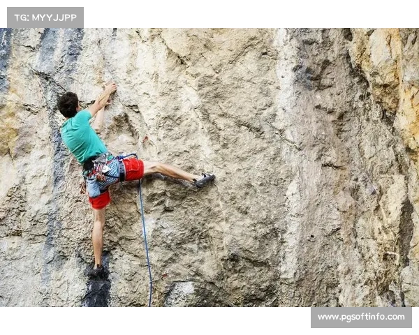 迪拜举行午夜攀岩赛 冷却系统保障岩壁温度适宜攀登